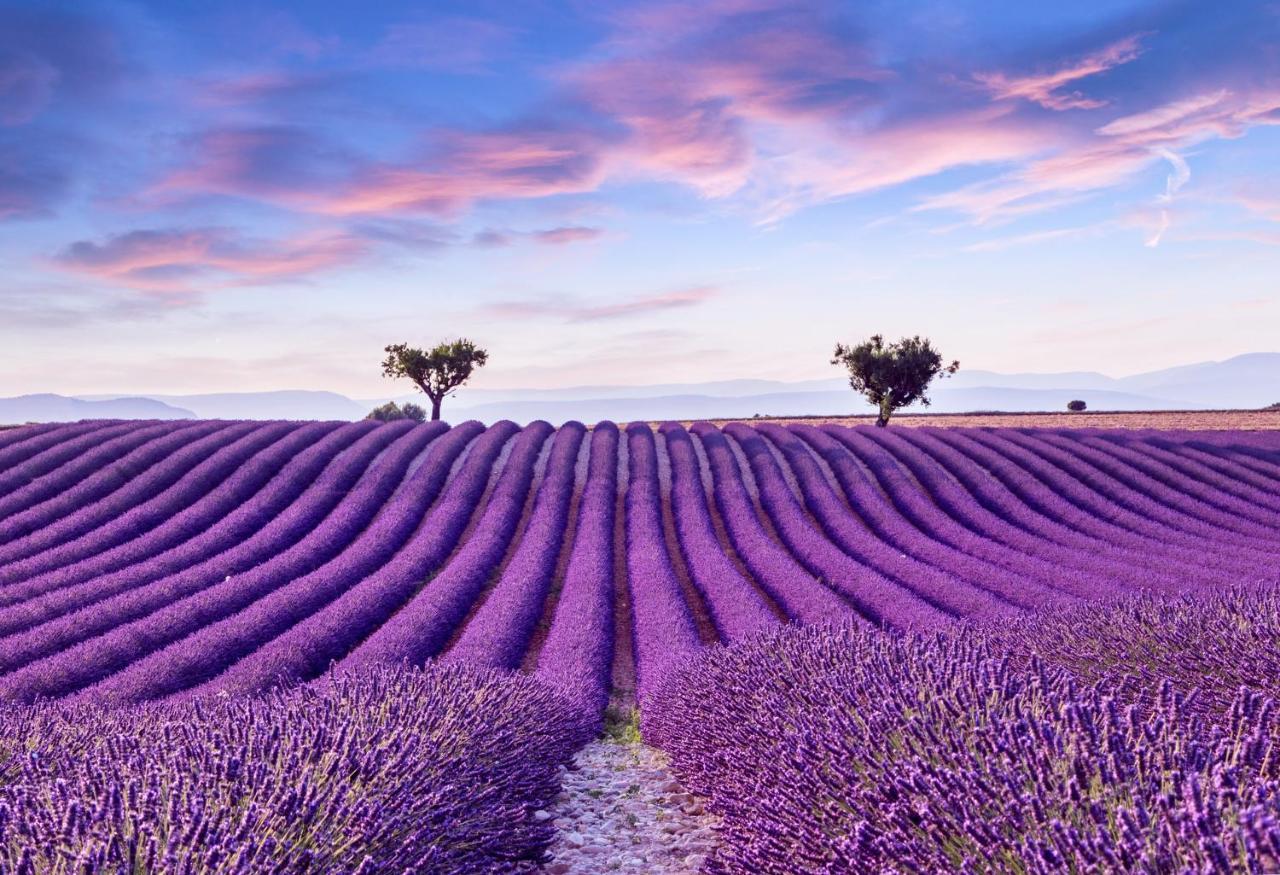 La Maison Des Collines ألماني إن بروفنس المظهر الخارجي الصورة