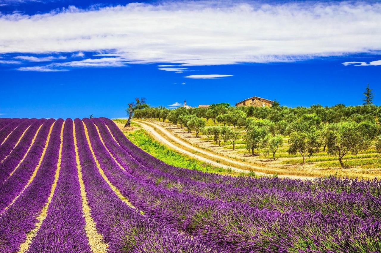 La Maison Des Collines ألماني إن بروفنس المظهر الخارجي الصورة